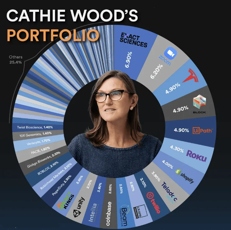 Cathie wood investment portfolio.