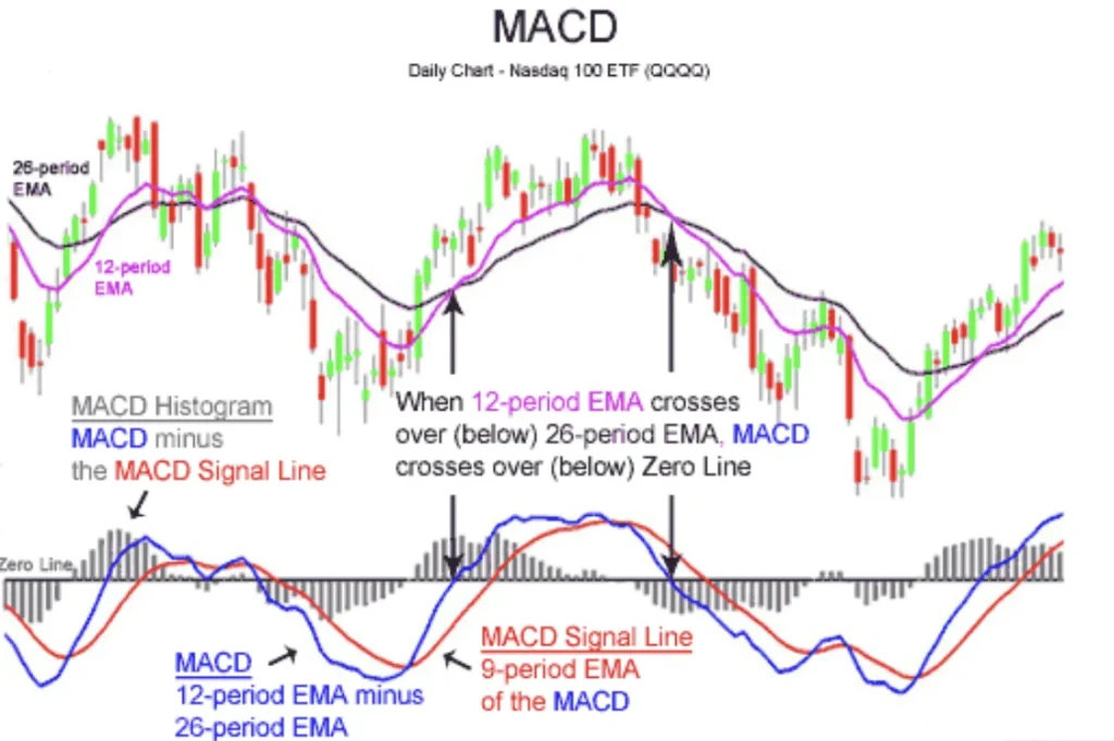 Practical Applications of MACD in Trading