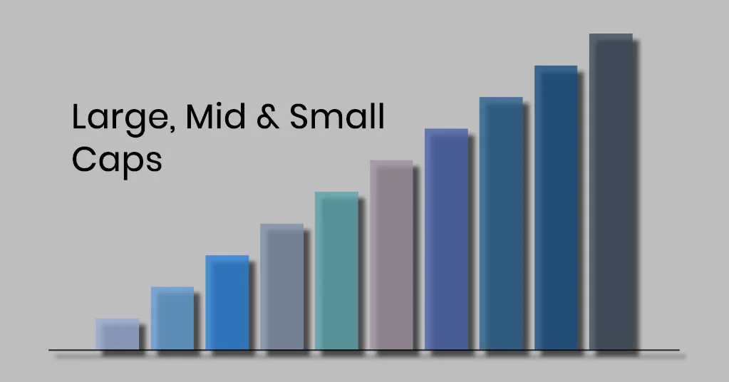 categories of market cap - small, medium, large.
