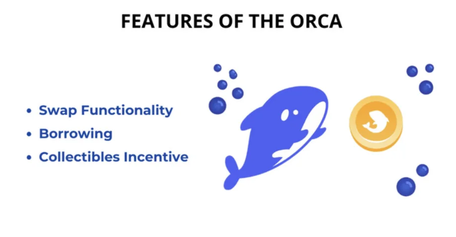 Features of Orca token